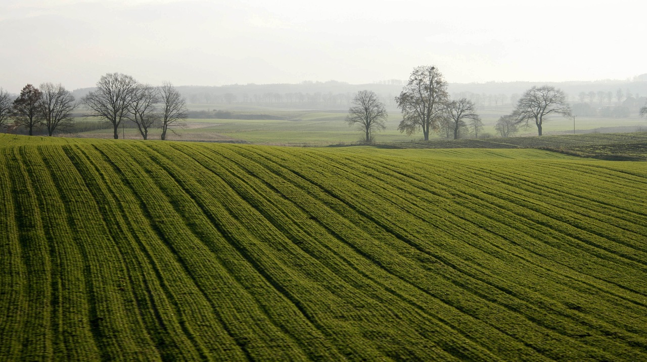 The Invisible Majority: Unraveling the Story of Soil Biodiversity